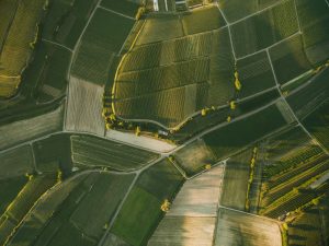 aerial view of beautiful agro fields in evening, europe